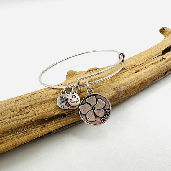 Alex & Ani Friends 2015 Charm Bracelet - Picture 1 of 4